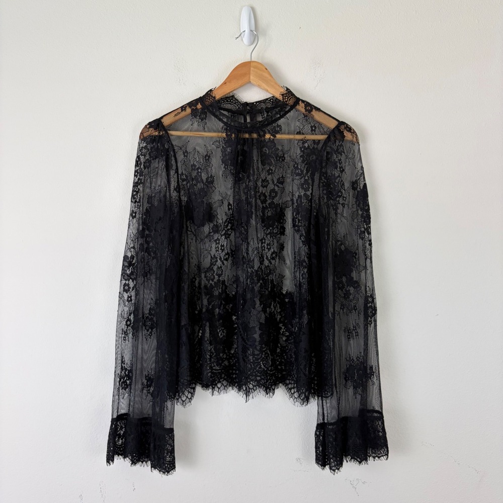 Black Whimsigoth‎ Sheer Floral Eyelash Lace High Neck Top Witchy Vampy Victorian